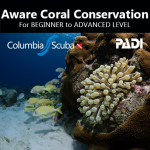Aware Coral Conservation